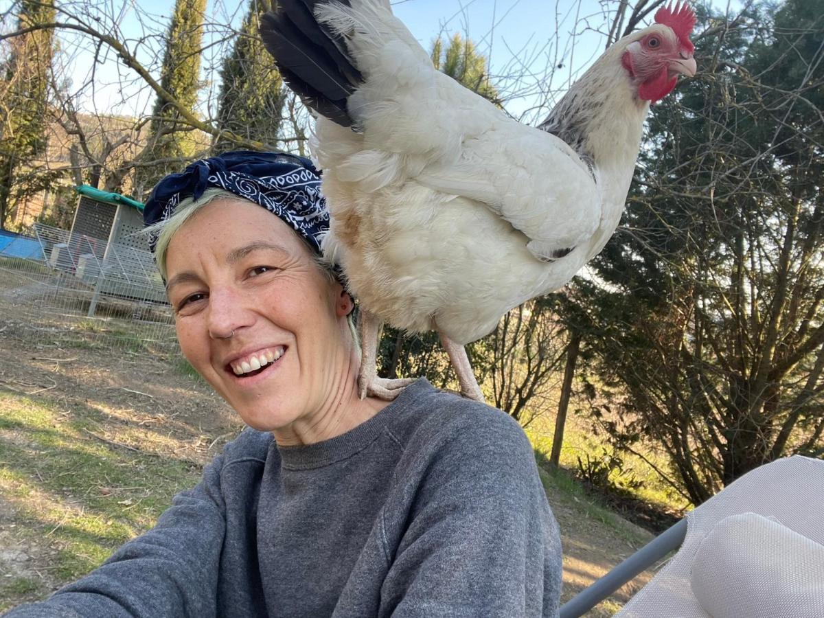 Al Giardino Degli Etruschi Pensionat Chiusi Eksteriør billede