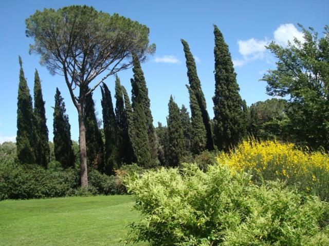 Al Giardino Degli Etruschi Pensionat Chiusi Værelse billede
